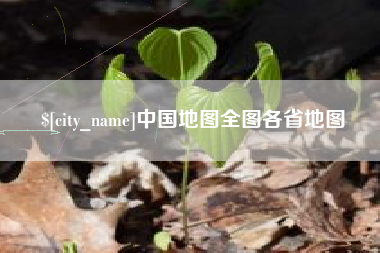 安顺中国地图全图各省地图