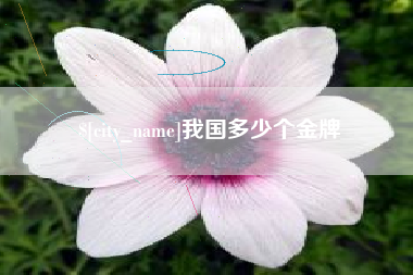 安顺我国多少个金牌