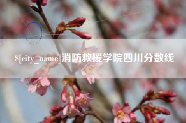 安顺消防救援学院四川分数线