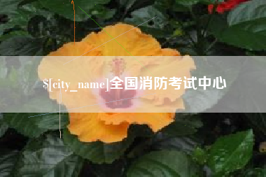 安顺全国消防考试中心