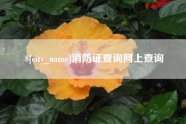 安顺消防证查询网上查询