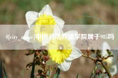 安顺中国消防救援学院属于985吗