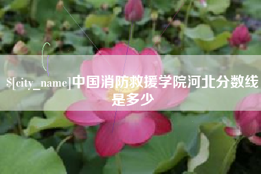 安顺中国消防救援学院河北分数线是多少
