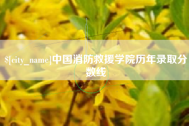 安顺中国消防救援学院历年录取分数线