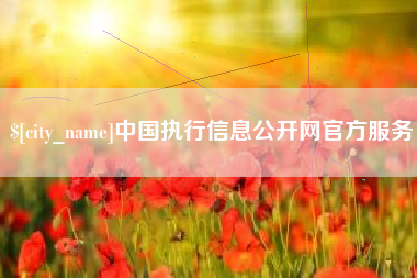 安顺中国执行信息公开网官方服务