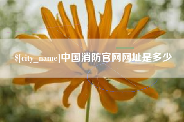 安顺中国消防官网网址是多少