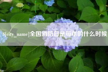 安顺全国消防日是每年的什么时候