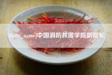 安顺中国消防救援学院副院长