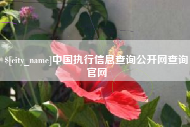 安顺中国执行信息查询公开网查询官网