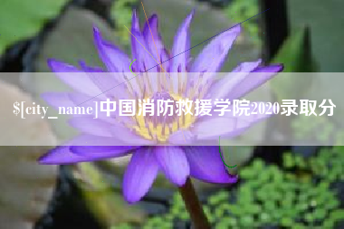 安顺中国消防救援学院2020录取分