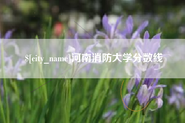 安顺河南消防大学分数线