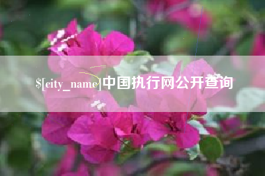 安顺中国执行网公开查询
