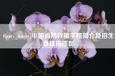 安顺中国消防救援学院简介及招生章程指挥部