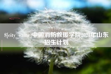 安顺中国消防救援学院2021年山东招生计划