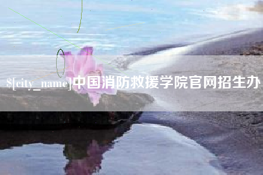 安顺中国消防救援学院官网招生办
