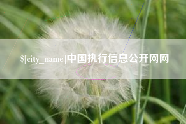 安顺中国执行信息公开网网