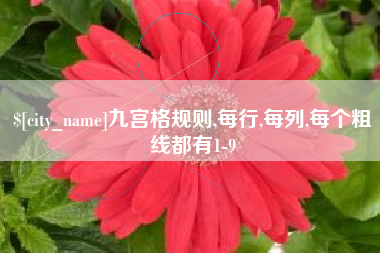 安顺九宫格规则,每行,每列,每个粗线都有1-9