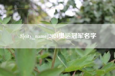 安顺2024奥运冠军名字