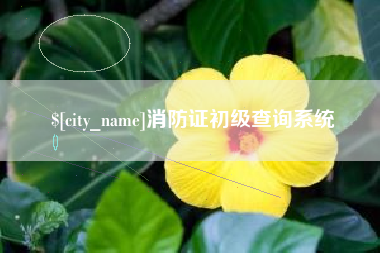 安顺消防证初级查询系统