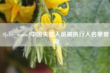 安顺中国失信人员被执行人名单查询