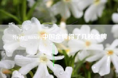 安顺中国金牌得了几枚金牌