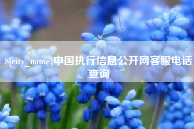 安顺中国执行信息公开网客服电话查询