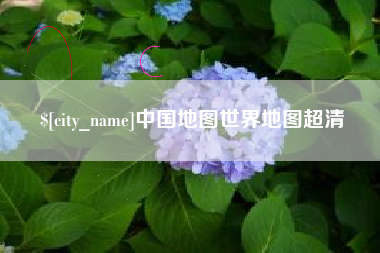 安顺中国地图世界地图超清