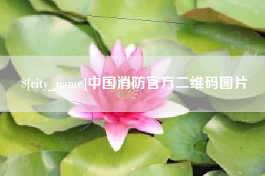 安顺中国消防官方二维码图片