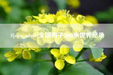 安顺全国男子5000米世界纪录