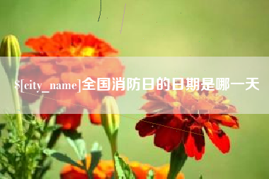 安顺全国消防日的日期是哪一天