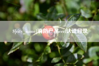 安顺消防产品cccf认证目录