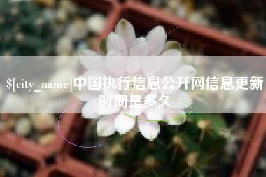 安顺中国执行信息公开网信息更新时间是多久