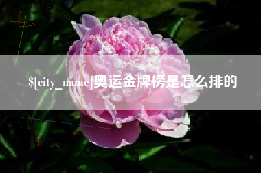 安顺奥运金牌榜是怎么排的
