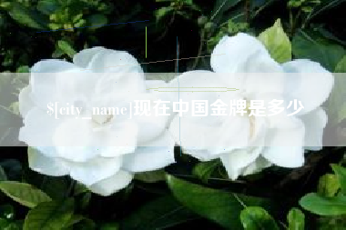 安顺现在中国金牌是多少