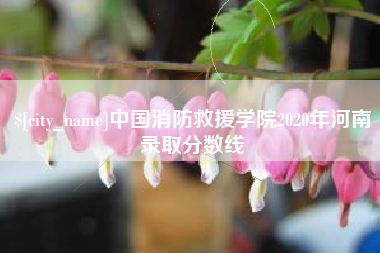 安顺中国消防救援学院2020年河南录取分数线