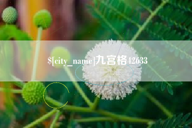 安顺九宫格42633