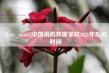 安顺中国消防救援学院2021年报名时间