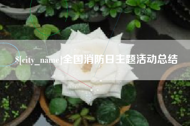 安顺全国消防日主题活动总结