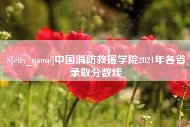 安顺中国消防救援学院2021年各省录取分数线