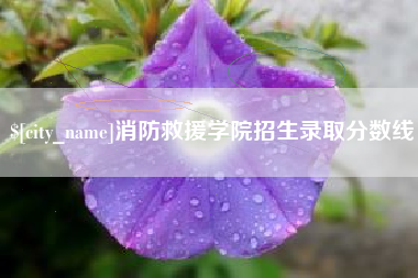 安顺消防救援学院招生录取分数线