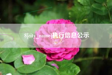 安顺执行信息公示