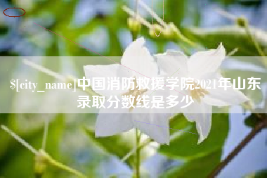 安顺中国消防救援学院2021年山东录取分数线是多少
