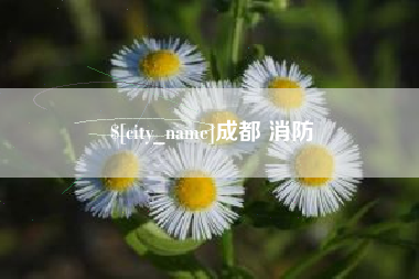 安顺成都 消防