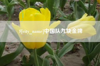 安顺中国队九块金牌