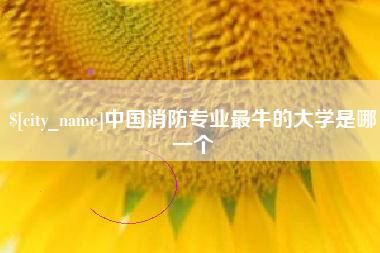 安顺中国消防专业最牛的大学是哪一个
