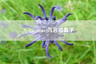 安顺九宫格盘子