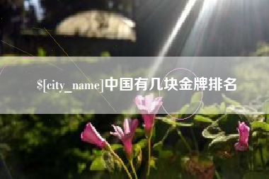 安顺中国有几块金牌排名