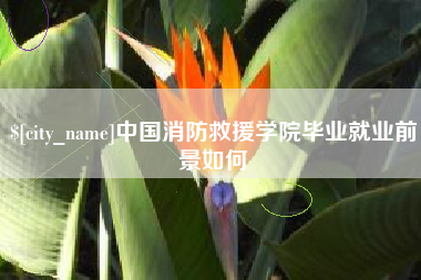 安顺中国消防救援学院毕业就业前景如何