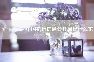 安顺中国执行信息公开网是什么东西