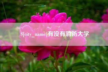安顺有没有消防大学